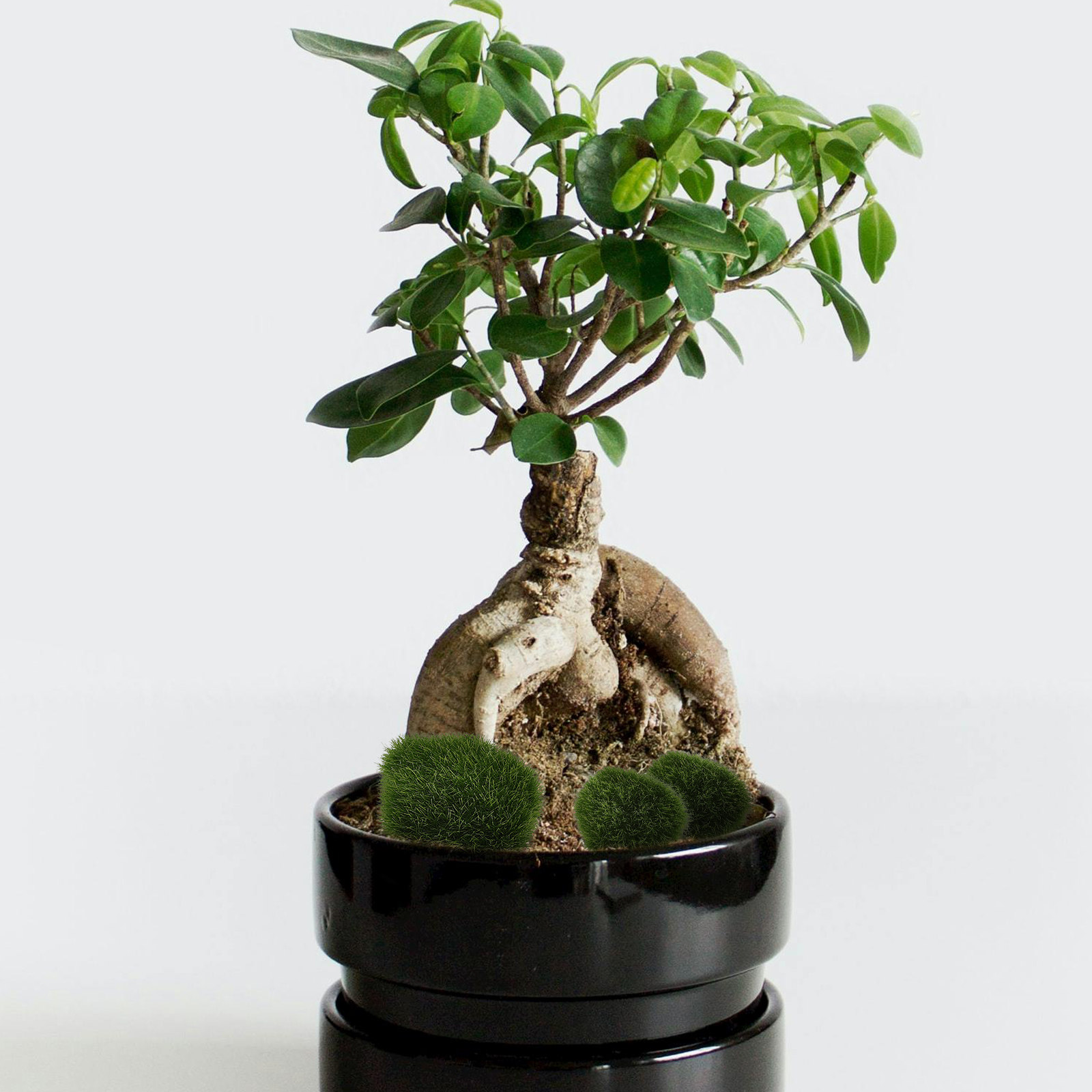 Bonsai Garden Layout - 5Pcs Lifelike Simulated Moss Stone Set