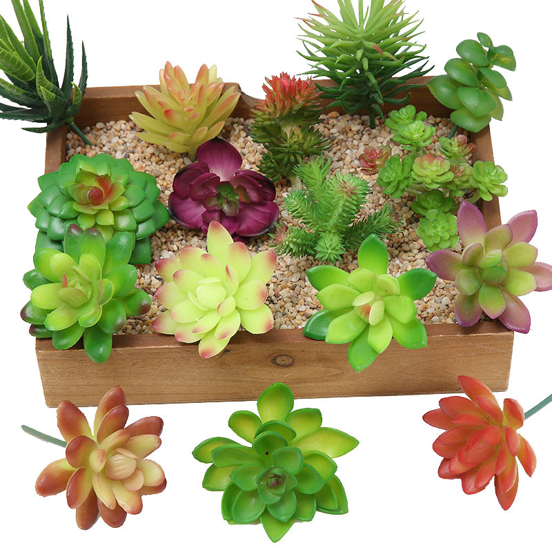 2021 Artificial Succulents Pla - đánh giá và giá Bonsai Garden Ideas