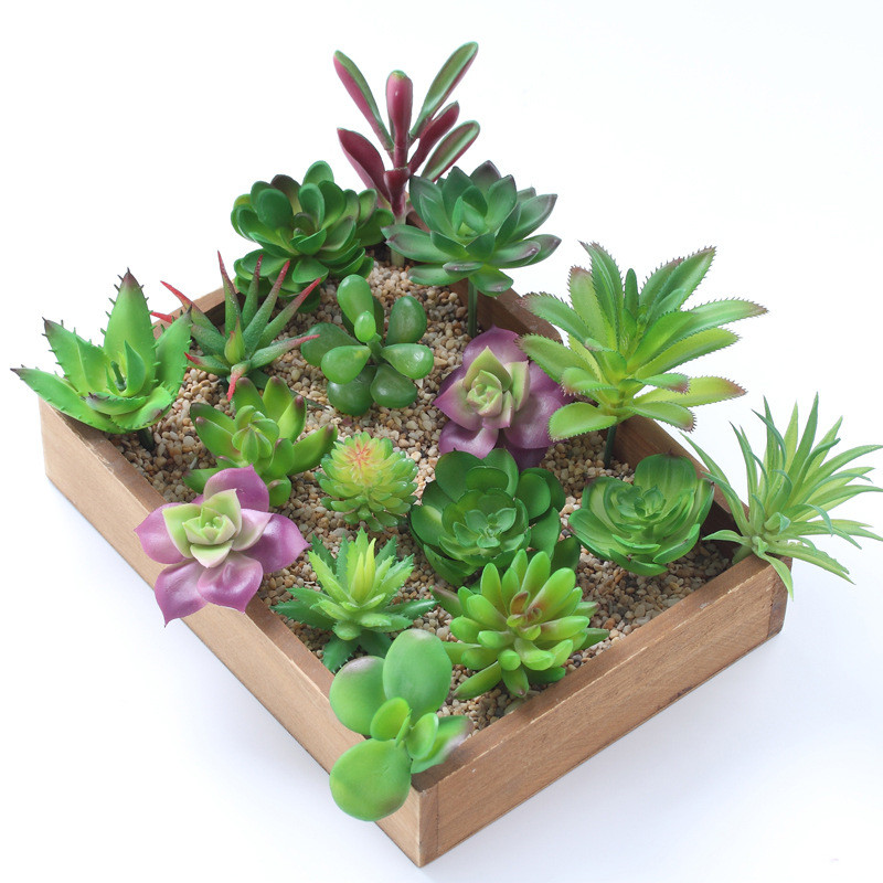 2021 Artificial Succulents Pla - đánh giá và giá Bonsai Garden Ideas