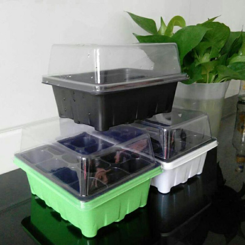 Seed Starter Kit 12 Cells Seed - đánh giá và giá Bonsai Garden Grow Kit