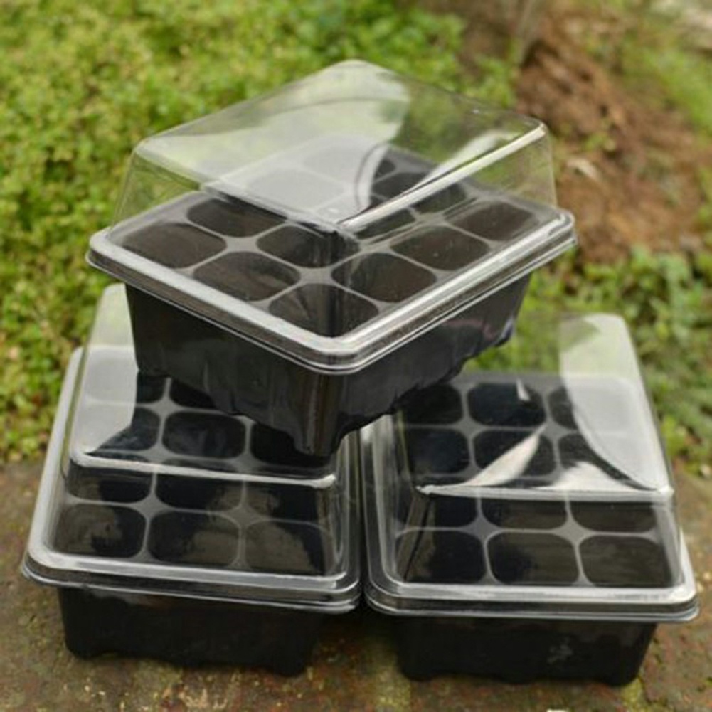 Seed Starter Kit 12 Cells Seed - đánh giá và giá Bonsai Garden Grow Kit