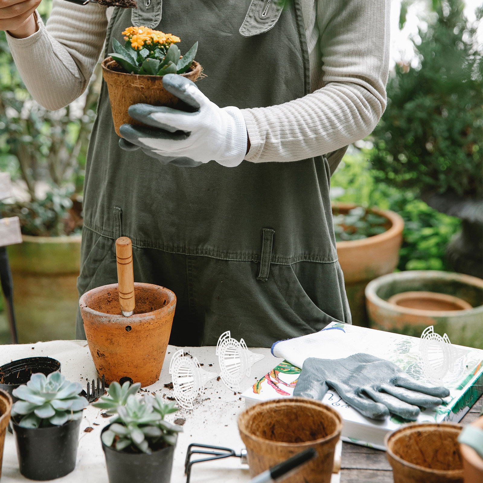 20Pcs Cone Flower Pot Hole Mes - đánh giá và giá Bonsai Garden Cafe