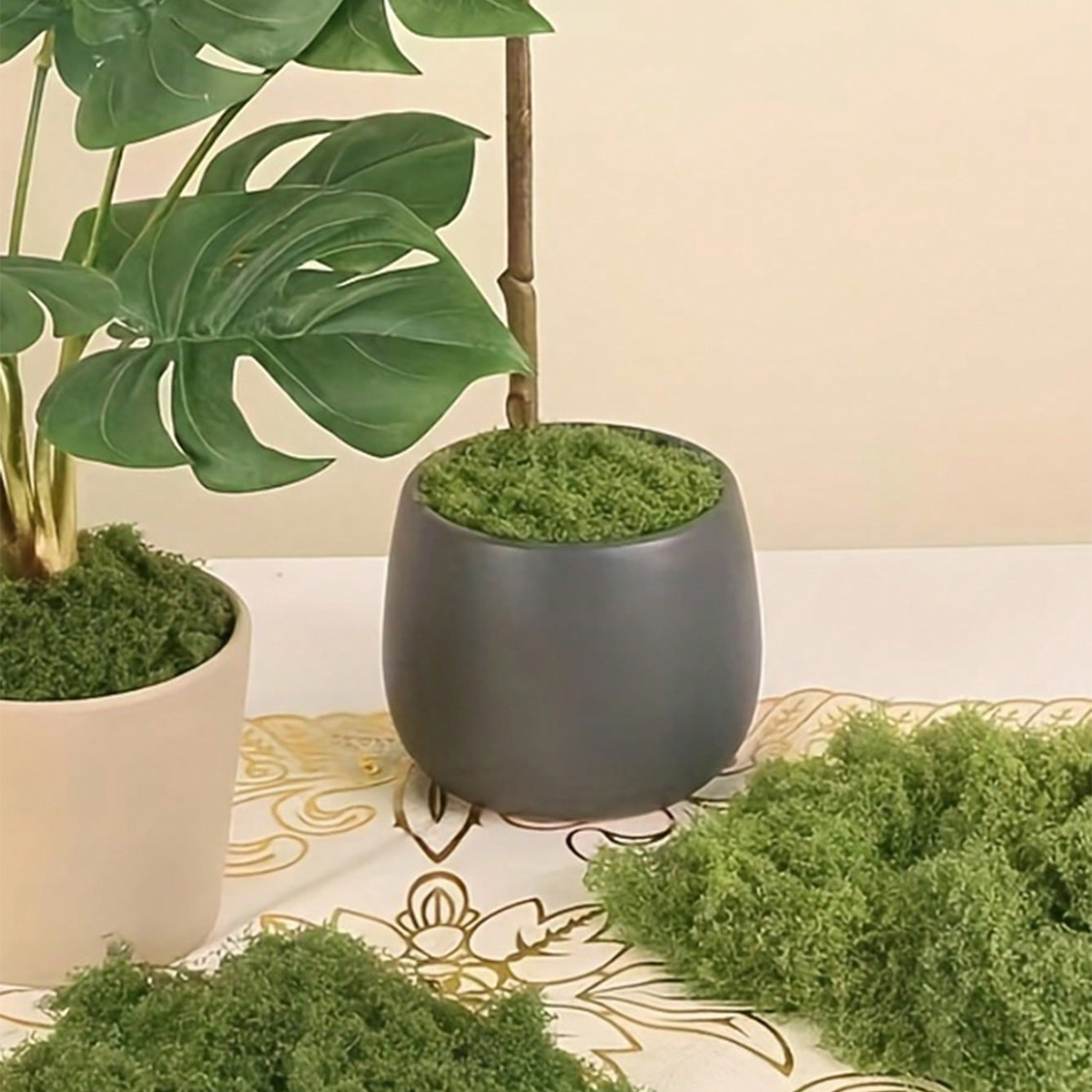 250g Artificial Moss Decoratio - đánh giá và giá Bonsai Garden Layout