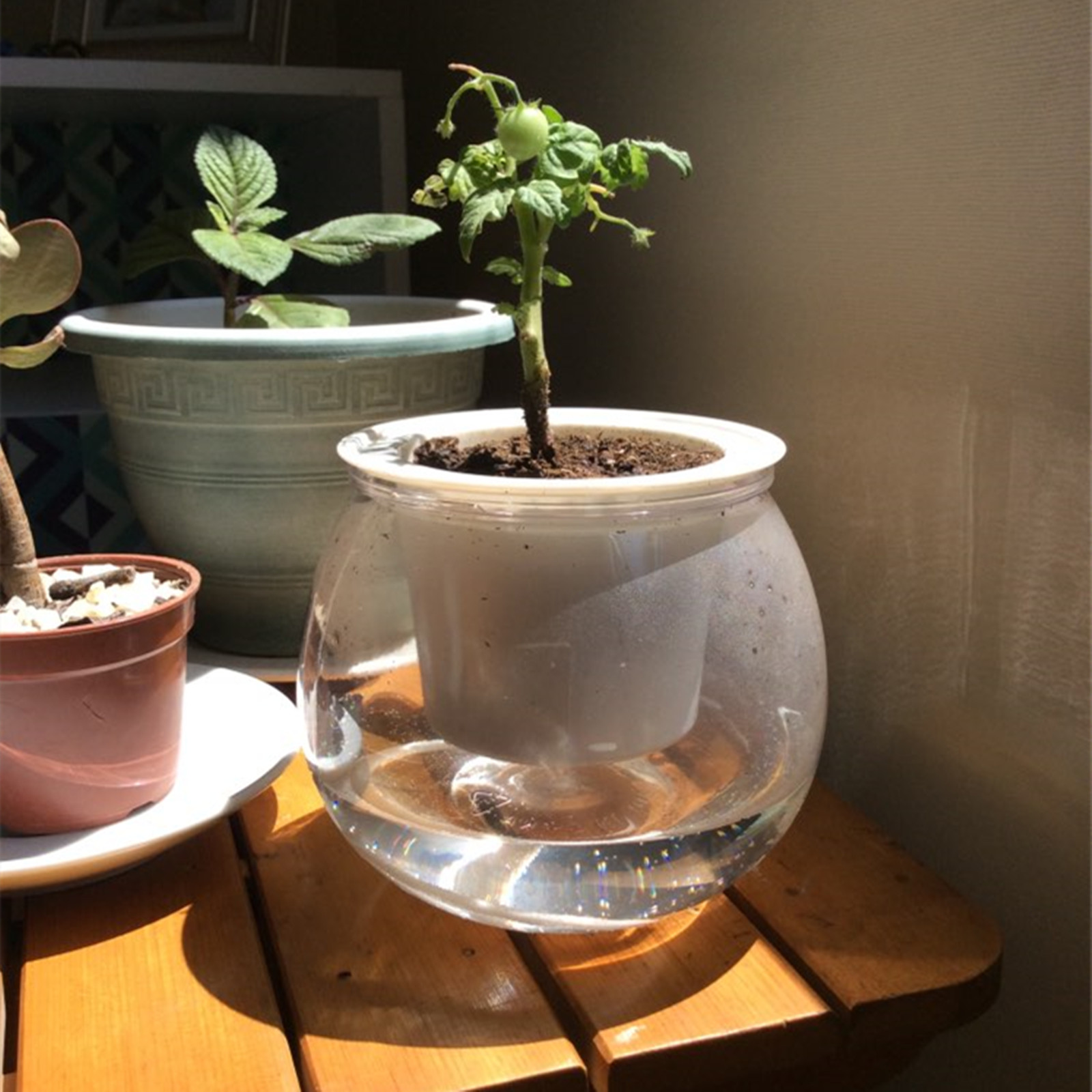 Self Watering Planter Pots Min - đánh giá và giá Japanese Garden Bonsai