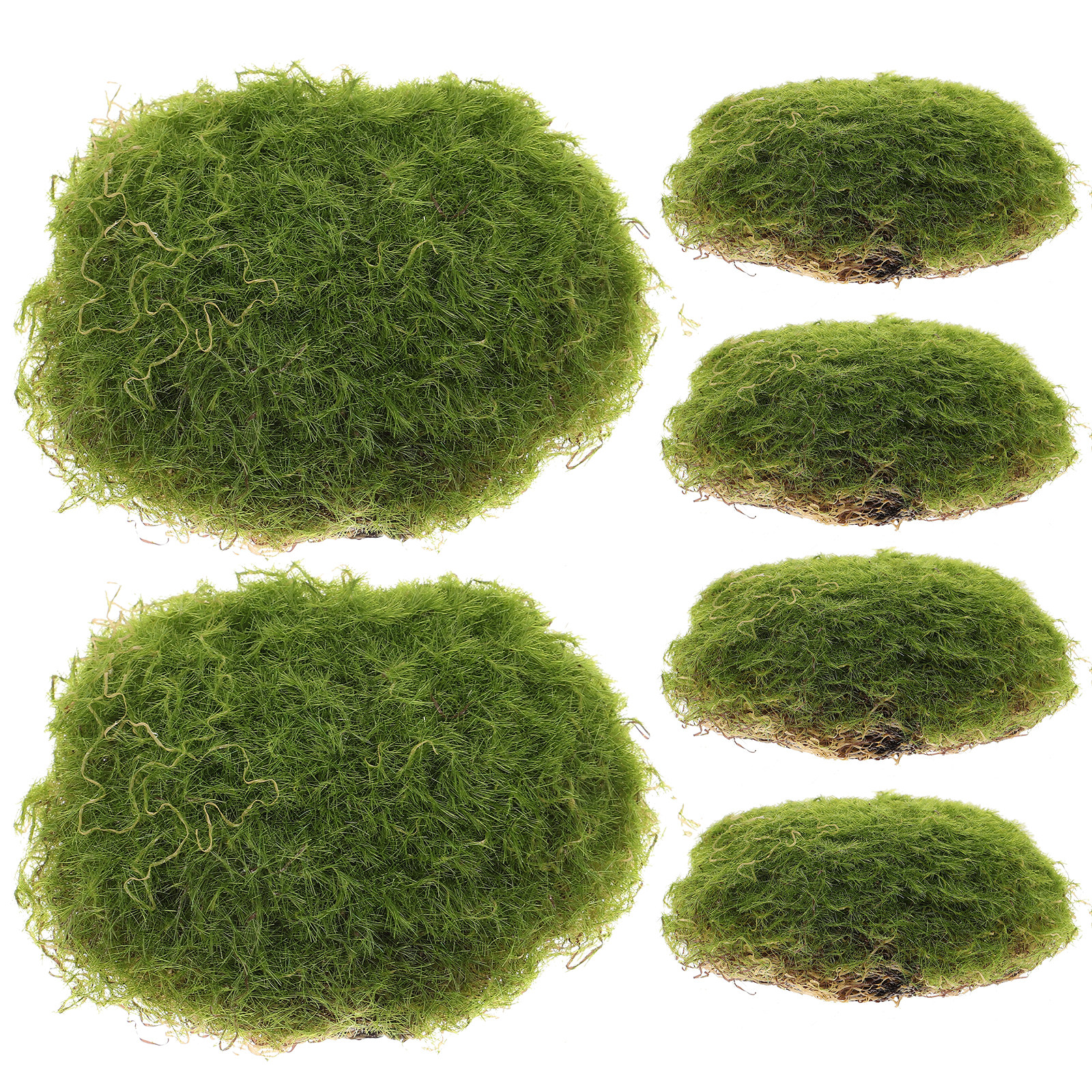 6Pcs Small Moss Stone Decor Se - đánh giá và giá Bonsai Garden Layout