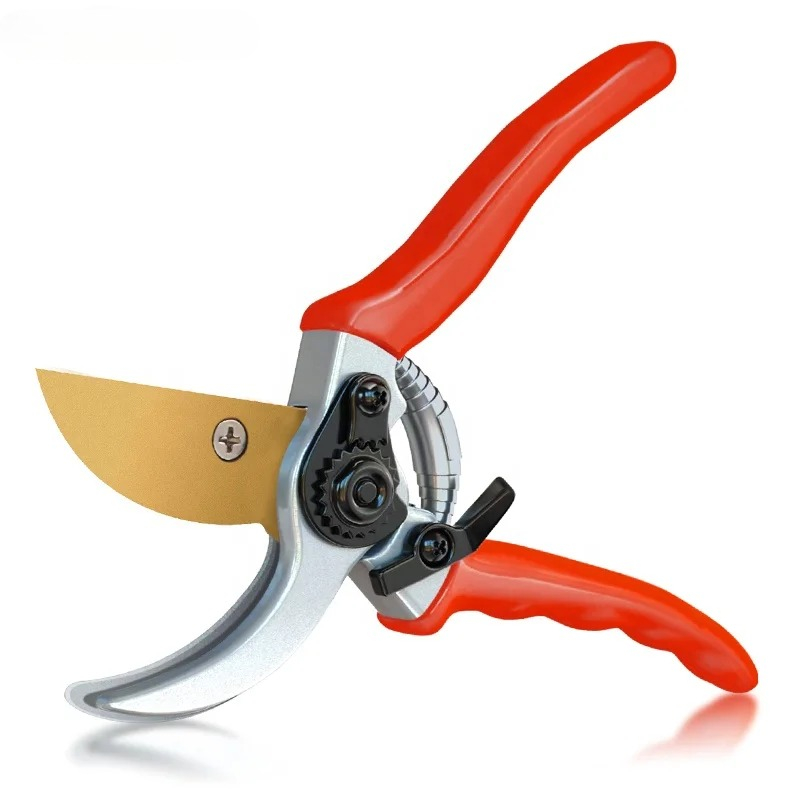 Hot Sale Pruning Fruit Shears  - đánh giá và giá Bonsai Garden For Sale