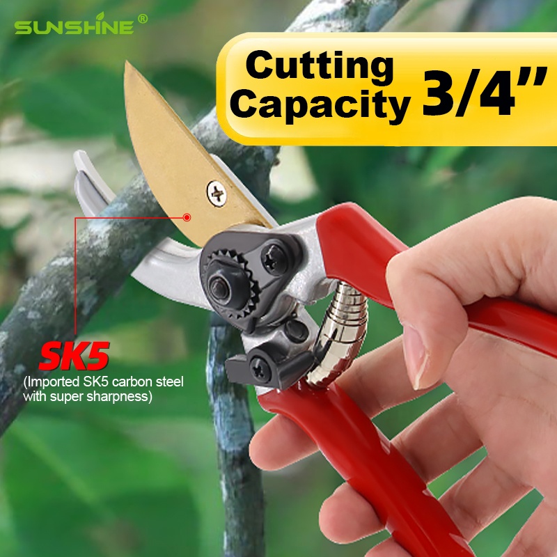 Hot Sale Pruning Fruit Shears  - đánh giá và giá Bonsai Garden For Sale
