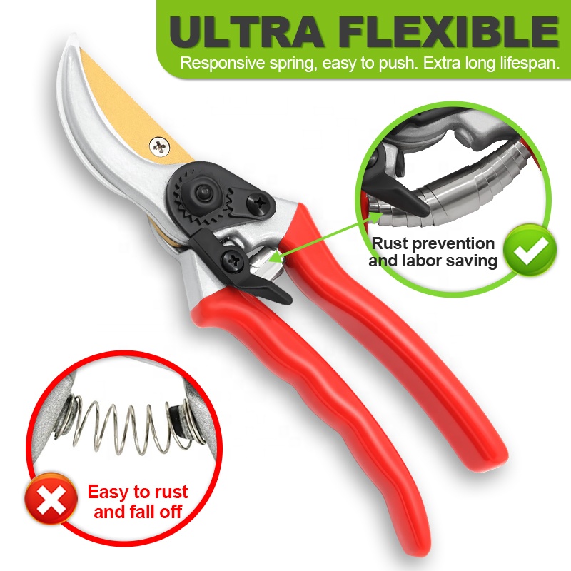 Hot Sale Pruning Fruit Shears  - đánh giá và giá Bonsai Garden For Sale