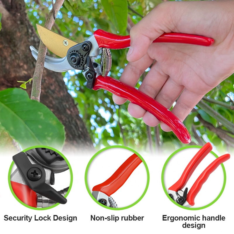Hot Sale Pruning Fruit Shears  - đánh giá và giá Bonsai Garden For Sale