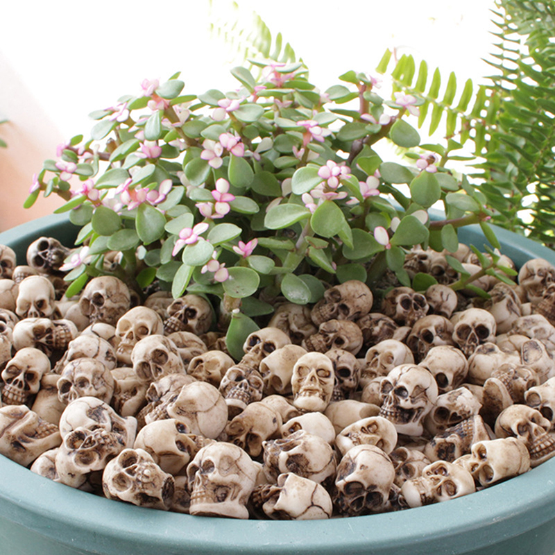 ● 20pcs Mini Skulls Halloween  - đánh giá và giá Bonsai Garden Ideas
