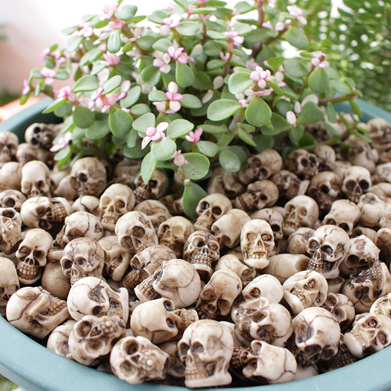 ● 20pcs Mini Skulls Halloween  - đánh giá và giá Bonsai Garden Ideas