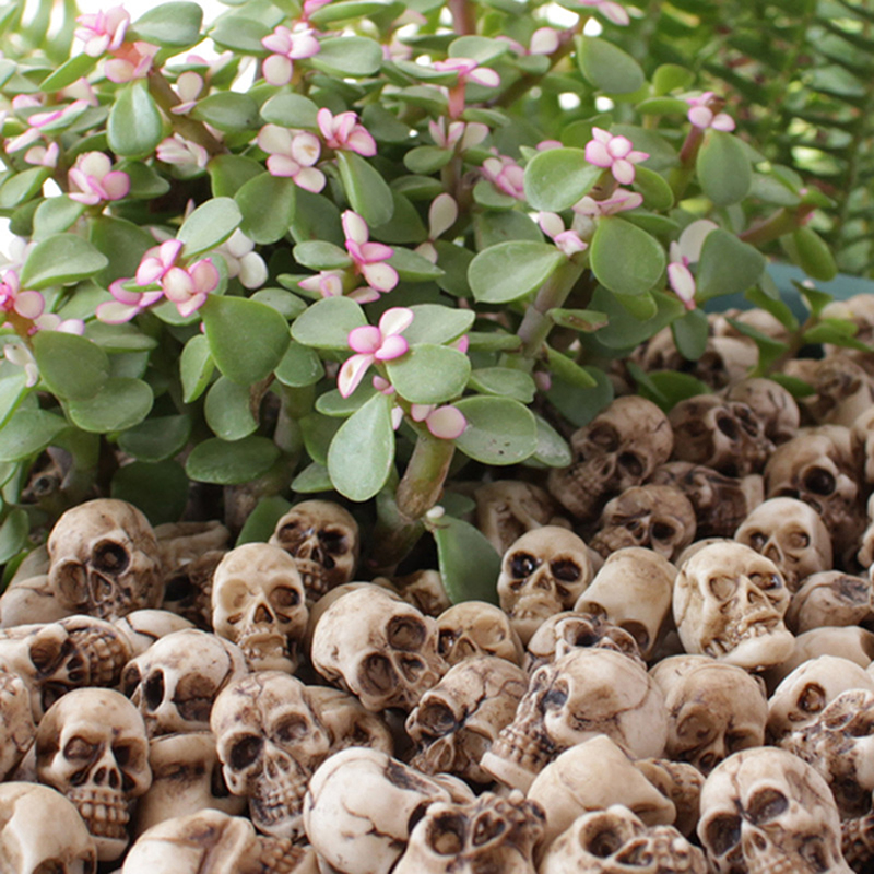 ● 20pcs Mini Skulls Halloween  - đánh giá và giá Bonsai Garden Ideas