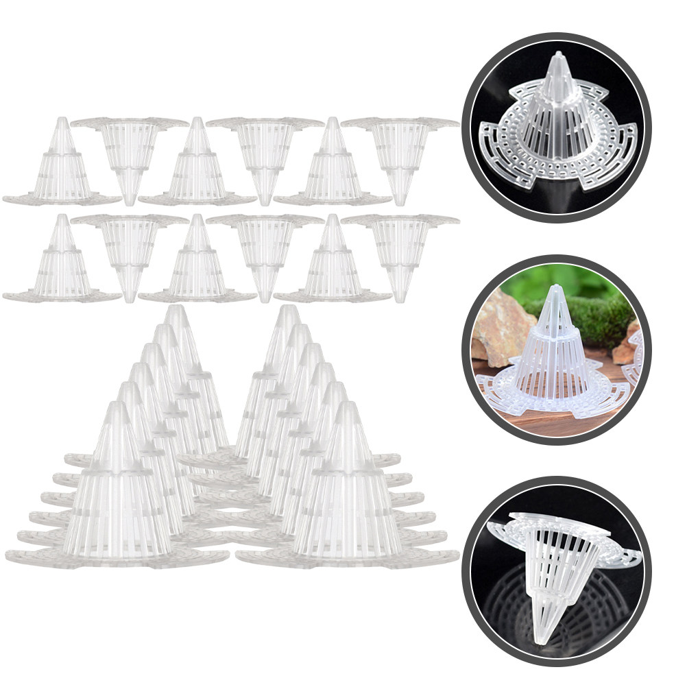 24Pcs High-Durability PP Cone  - đánh giá và giá Bonsai Garden Cafe