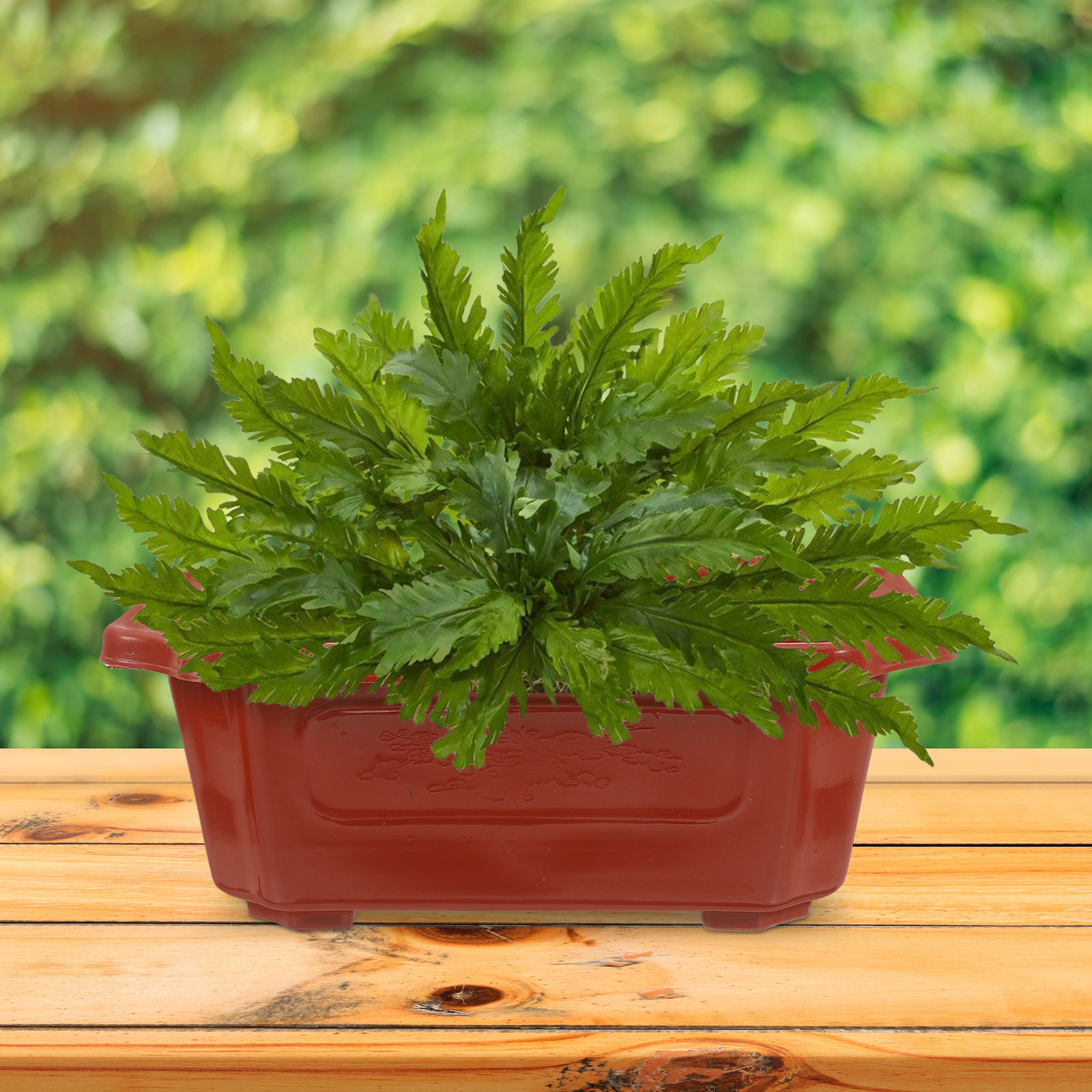 10Pcs Reusable Bonsai Planters - đánh giá và giá Bonsai Garden Grow Kit
