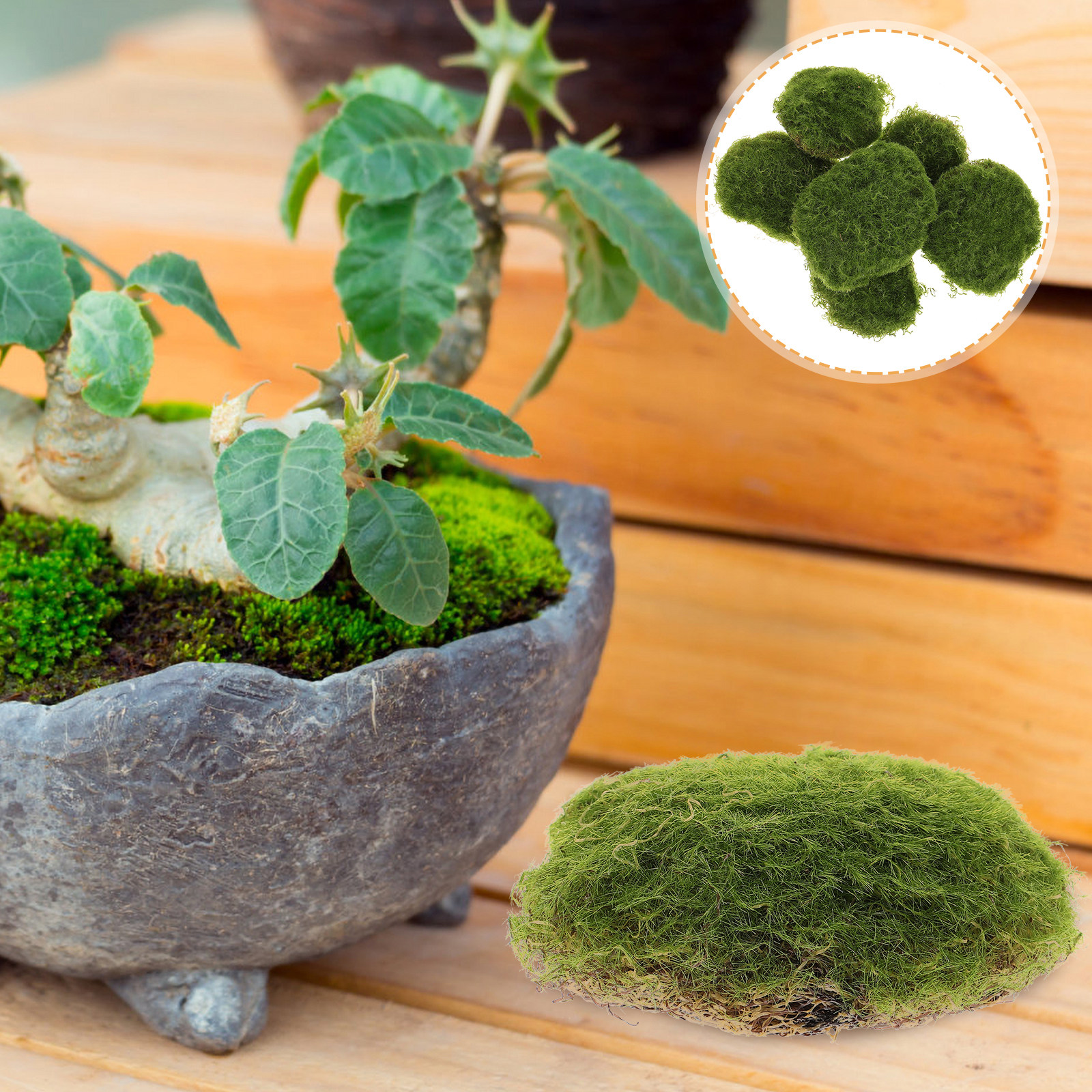 6Pcs Emulated Mossy Stones Lif - đánh giá và giá Bonsai Garden Layout