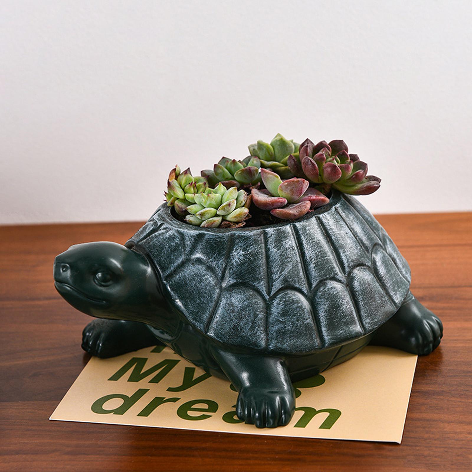 Turtle Planter Flower Pot Coll - đánh giá và giá Bonsai Garden Cafe