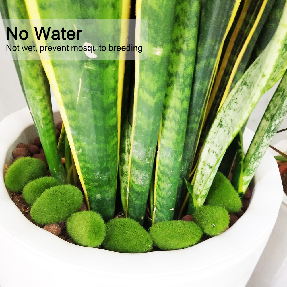 30pcs Green Artificial Moss Ro - đánh giá và giá Bonsai Garden Ideas