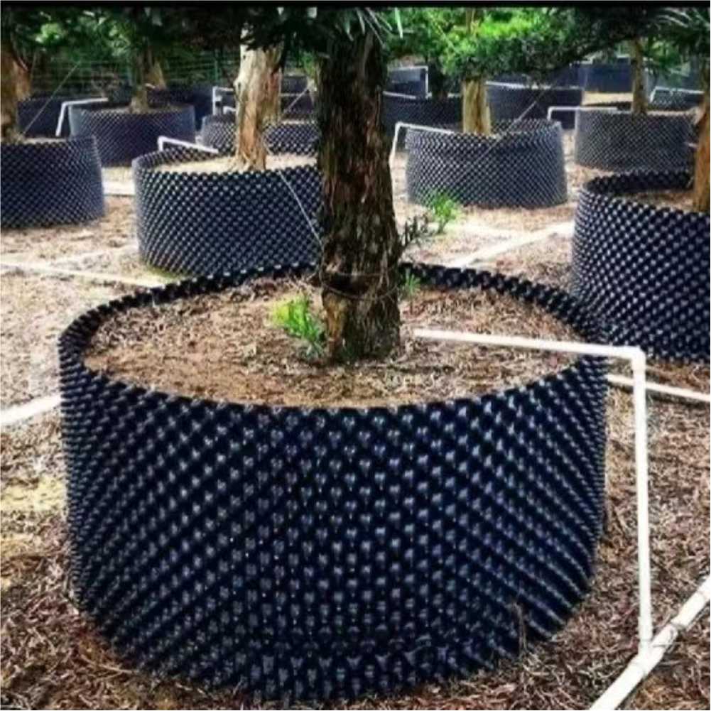 Grow Container Garden Tree Bon - đánh giá và giá Bonsai Gardening