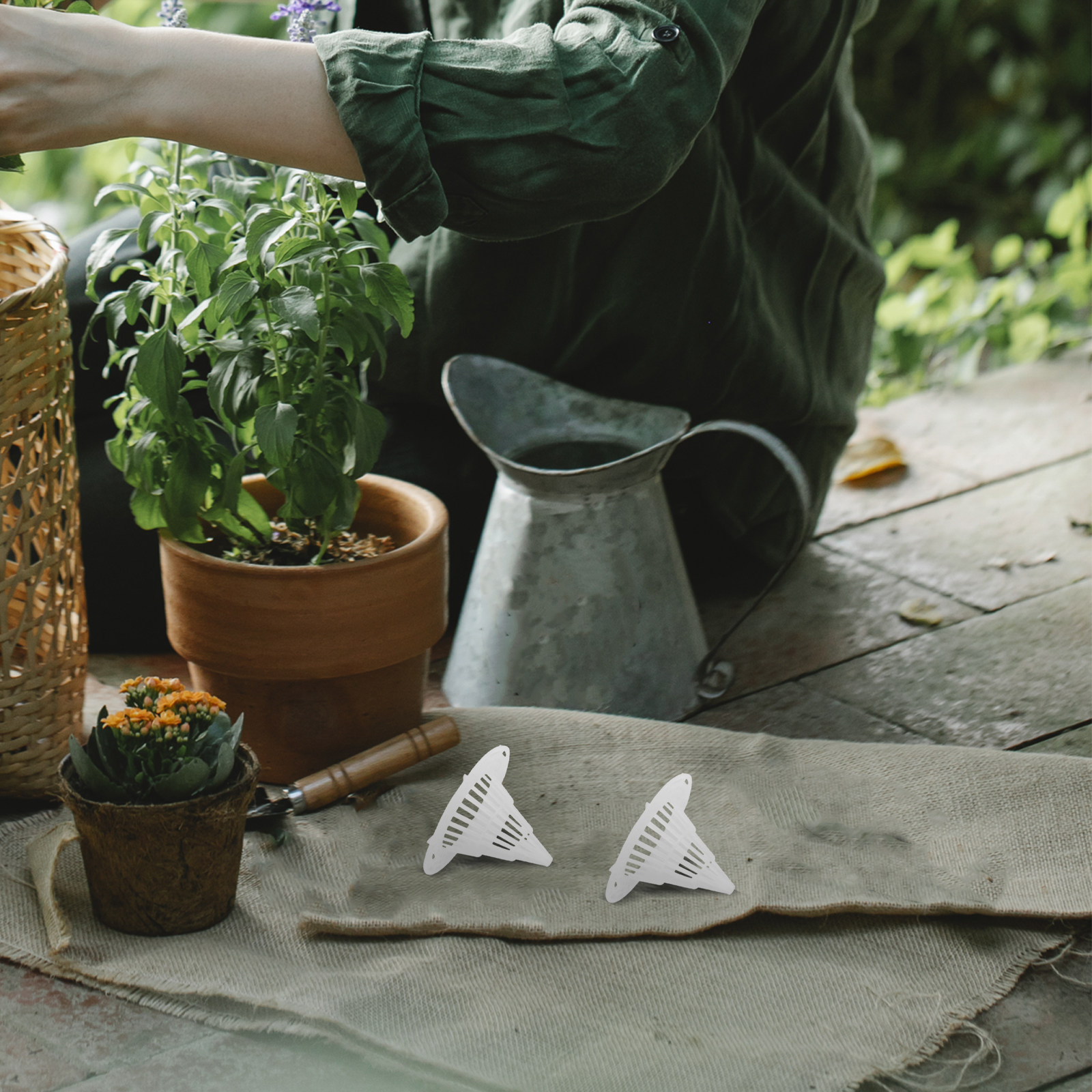 50Pcs Flower Pot Hole Mesh Pad - đánh giá và giá Bonsai Gardening