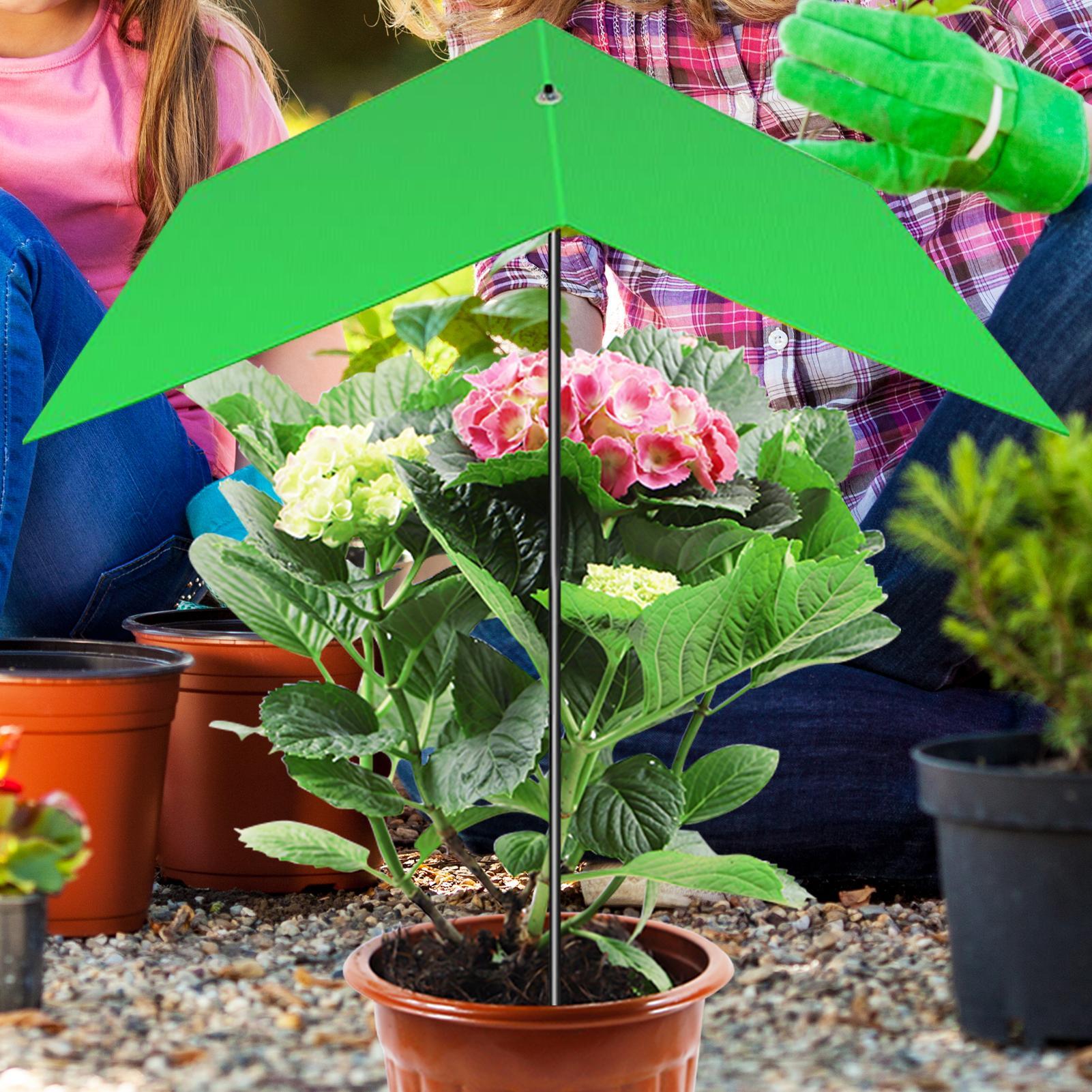 Plant Umbrella Anti-UV Heat Re - đánh giá và giá Bonsai Garden Cafe