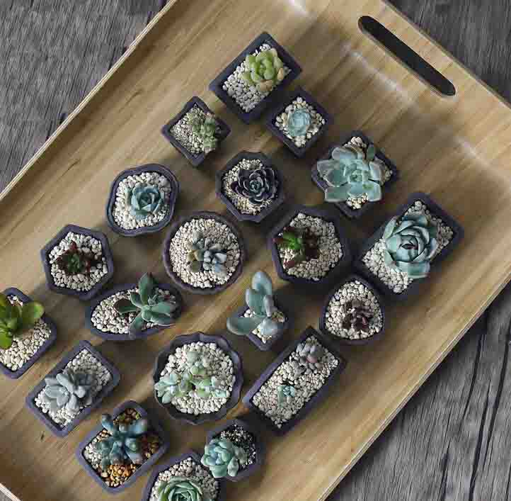 Yixing Purple Sand Flower Pot  - đánh giá và giá Japanese Garden Bonsai