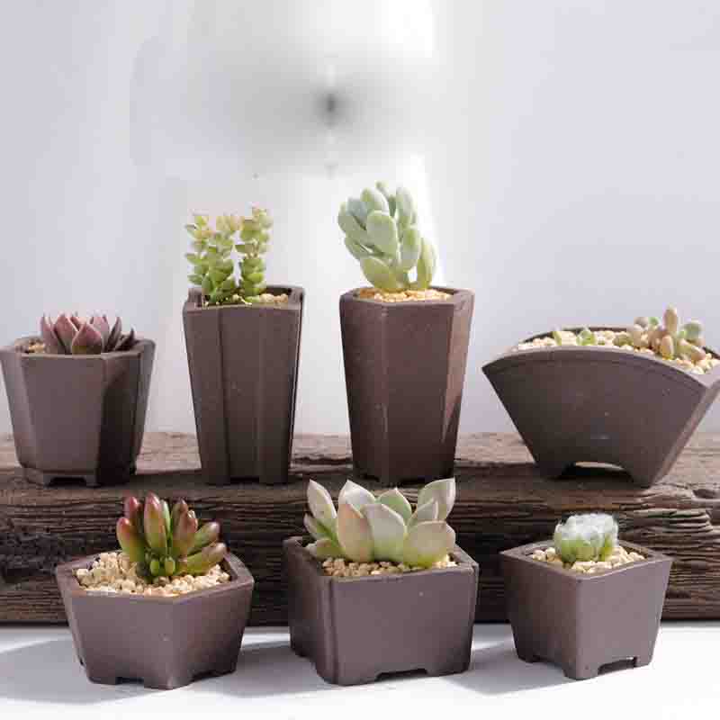Yixing Purple Sand Flower Pot  - đánh giá và giá Japanese Garden Bonsai