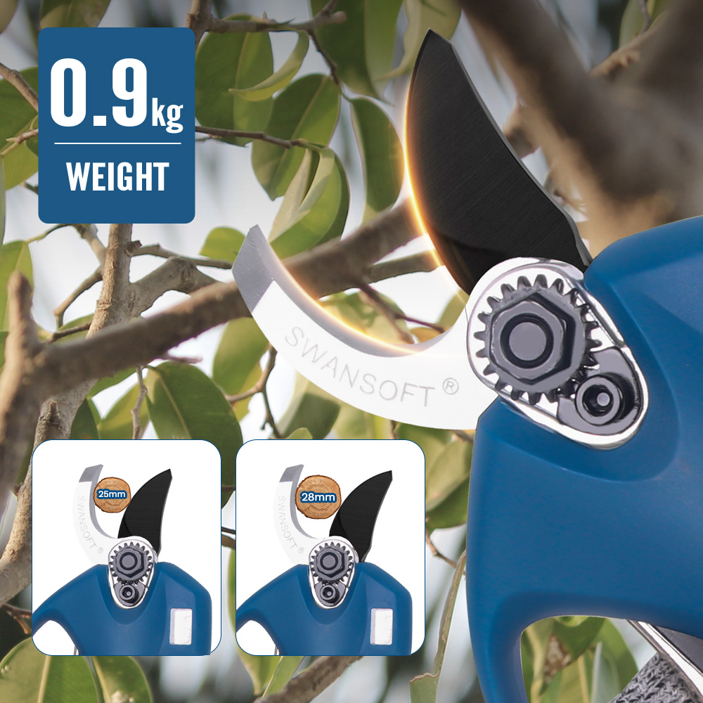 16.8V 2pc Lithium-Ion Battery  - đánh giá và giá Bonsai Gardening