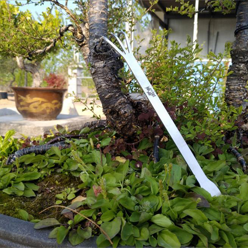 Hot Sale Stainless Steel Root  - đánh giá và giá Bonsai Garden For Sale