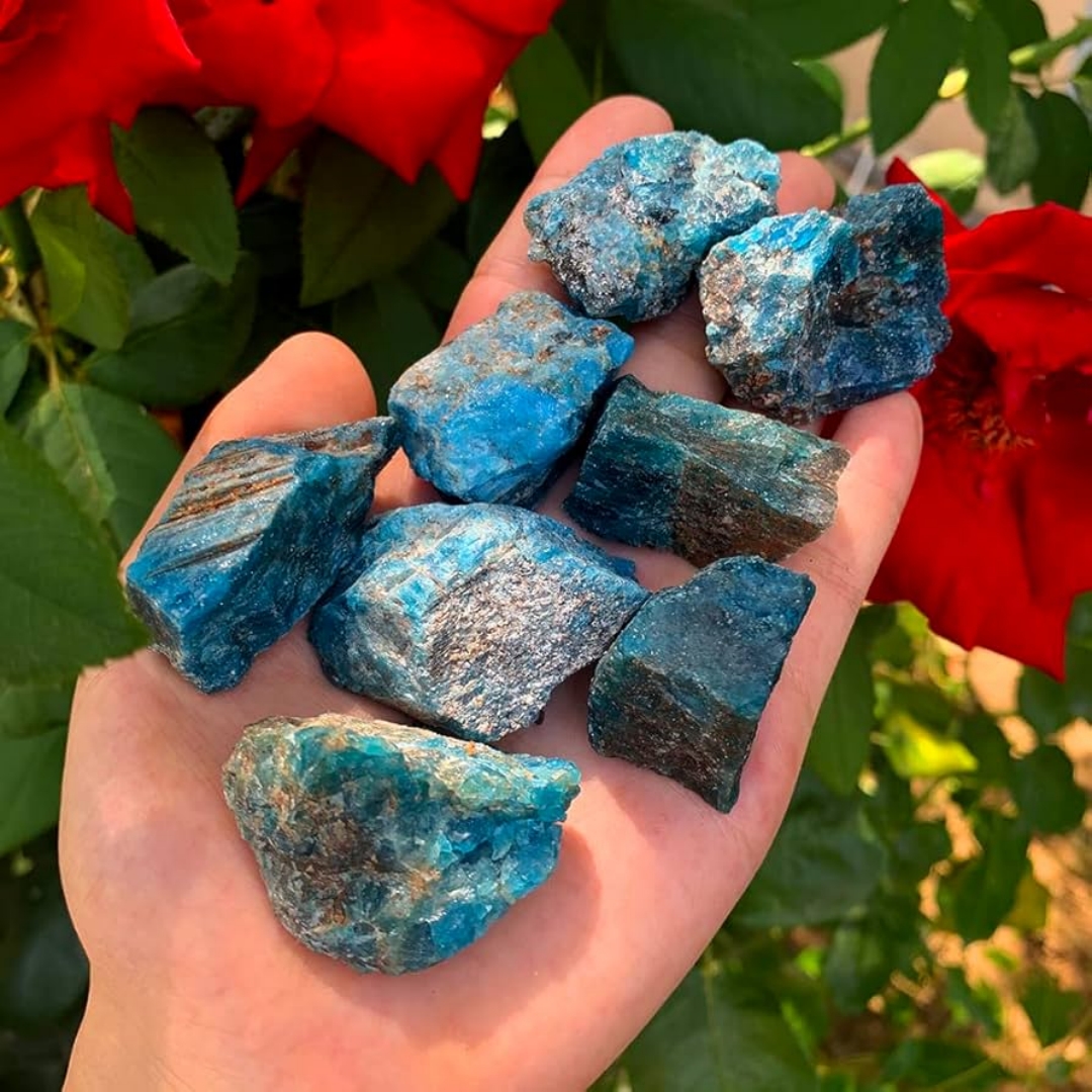 40g/120g/240g Natural Blue Apa - đánh giá và giá Bonsai Garden Gift