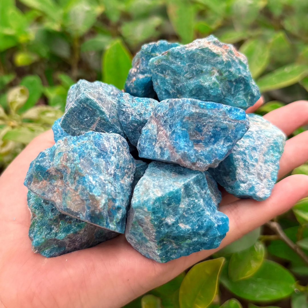 40g/120g/240g Natural Blue Apa - đánh giá và giá Bonsai Garden Gift