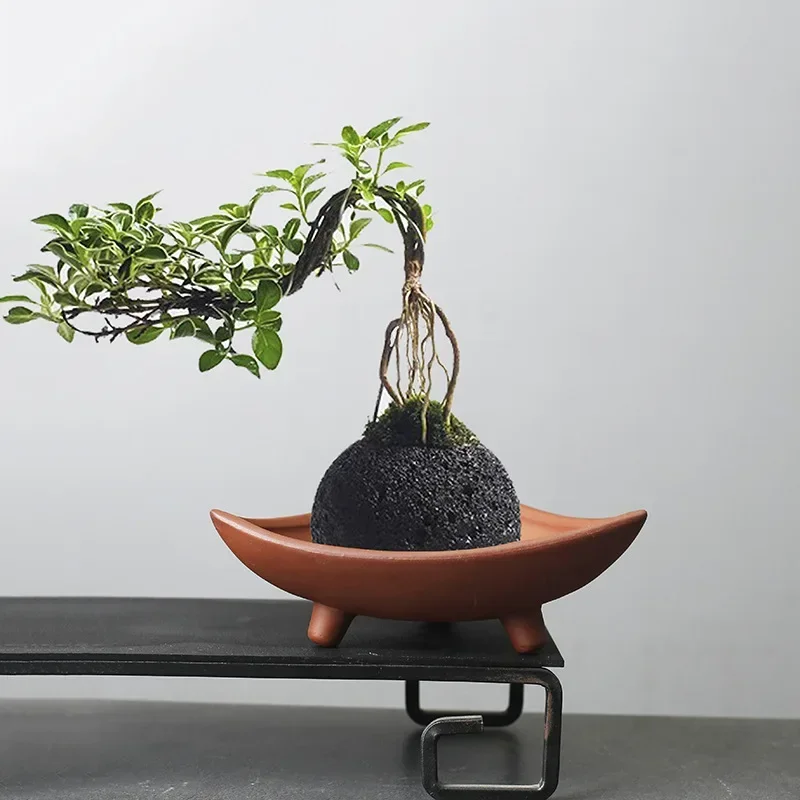 Personalized Ceramic Flower Po - đánh giá và giá Japanese Garden Bonsai