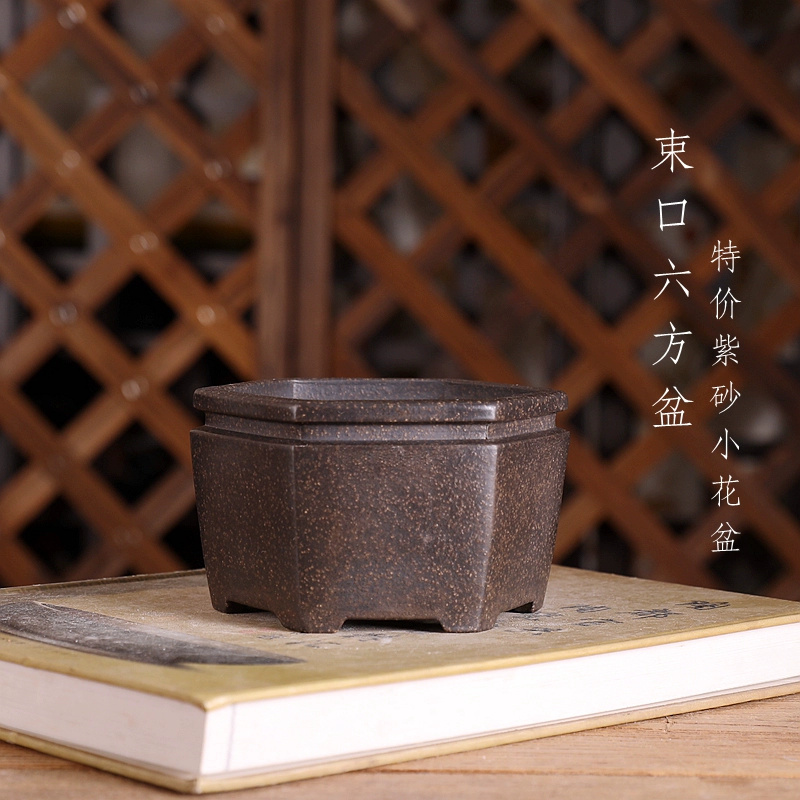 Hexagon Bonsai Pot, Purple San - đánh giá và giá Bonsai Garden With Sand