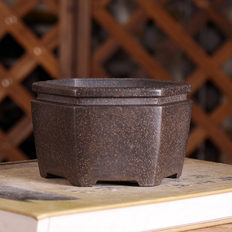 Hexagon Bonsai Pot, Purple San - đánh giá và giá Bonsai Garden With Sand