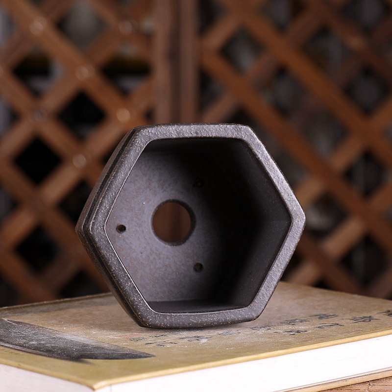 Hexagon Bonsai Pot, Purple San - đánh giá và giá Bonsai Garden With Sand