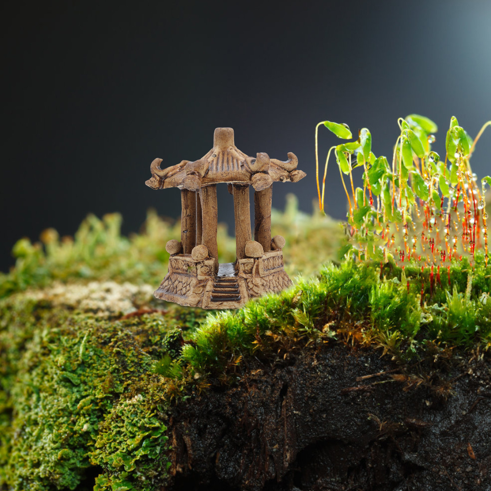 Miniature Ceramic Hexagonal Pa - đánh giá và giá Bonsai Gardening
