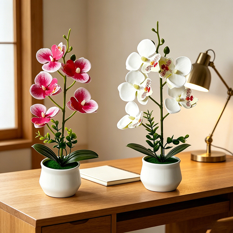 Big 5 Butterfly Orchid Simulat - đánh giá và giá Bonsai Garden Layout