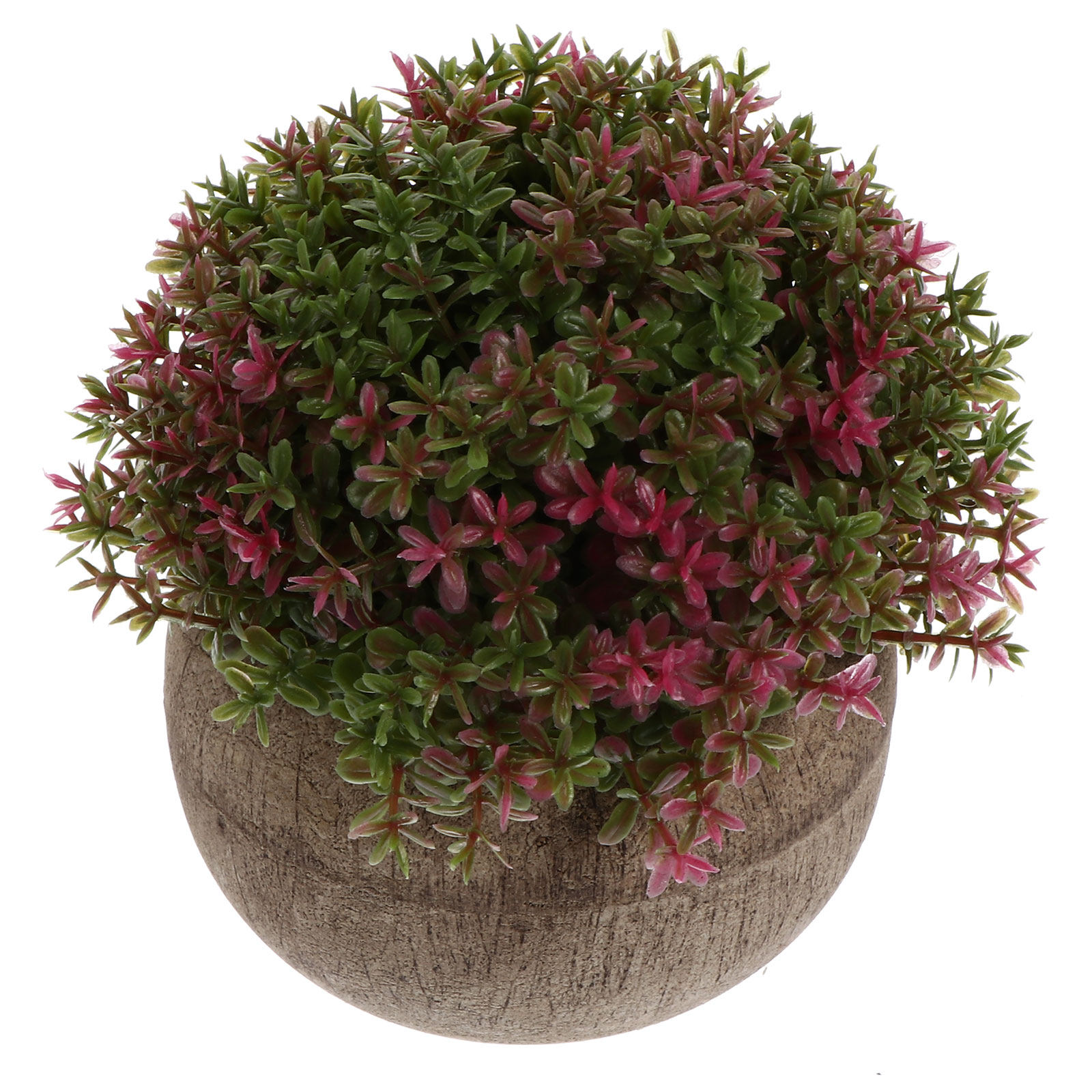 Mini Plastic Bonsai Realistic  - đánh giá và giá Bonsai Garden Cafe