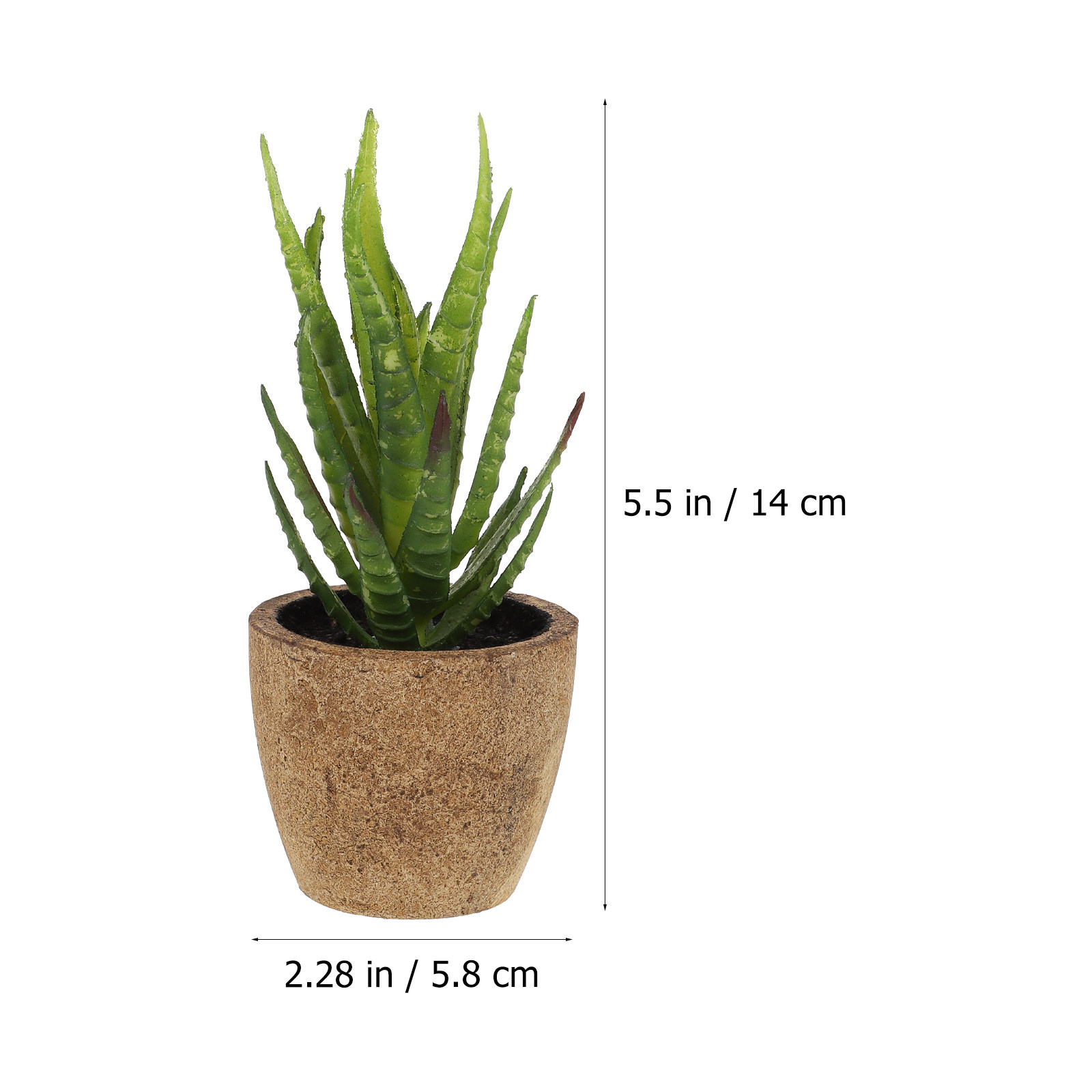 4Pcs Simulation Succulent Bons - đánh giá và giá Bonsai Garden Cafe