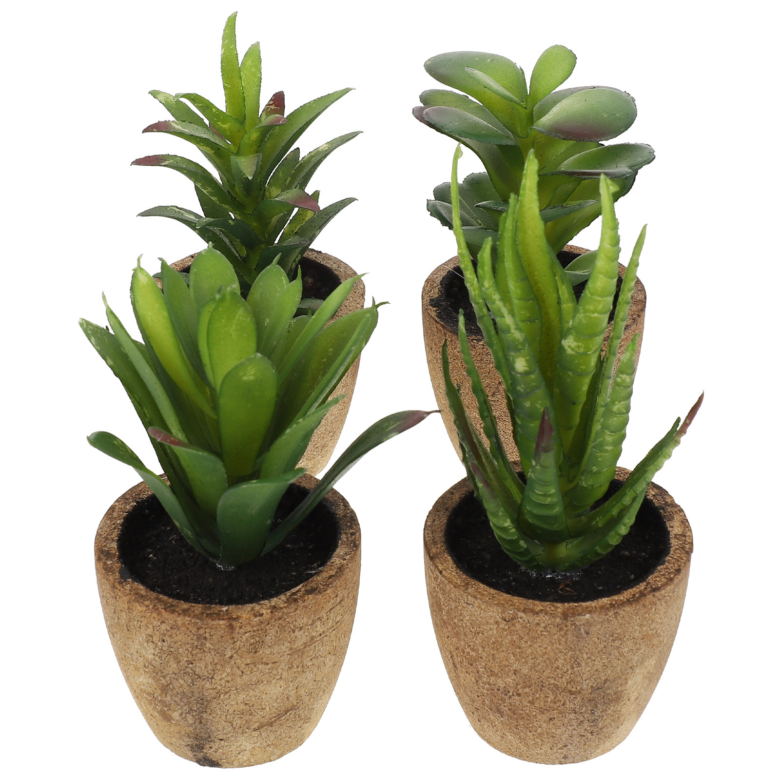 4Pcs Simulation Succulent Bons - đánh giá và giá Bonsai Garden Cafe