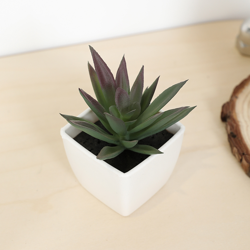 Mini Artificial Succulent Fair - đánh giá và giá Bonsai Garden Ideas