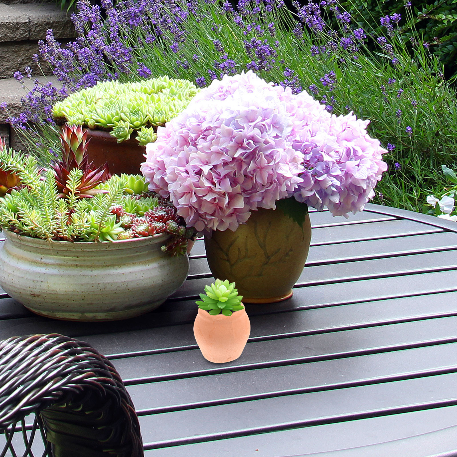 Mini Ceramic Flower Pot Plante - đánh giá và giá Japanese Garden Bonsai