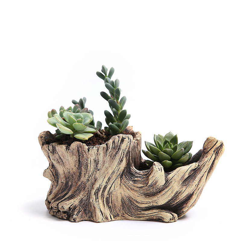Succulent Flower Pot Wood Tree - đánh giá và giá Japanese Garden Bonsai