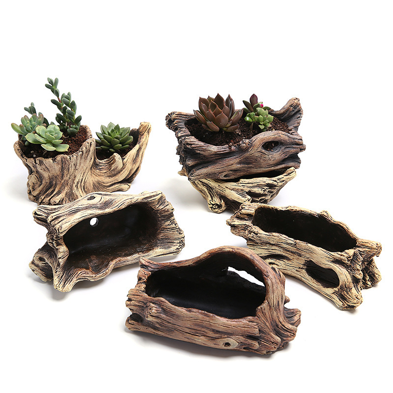 Succulent Flower Pot Wood Tree - đánh giá và giá Japanese Garden Bonsai