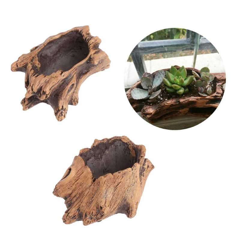 Succulent Flower Pot Wood Tree - đánh giá và giá Japanese Garden Bonsai
